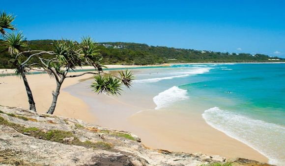 جزیره کانگورو جاذبه‌ای هیجان انگیز در سواحل استرالیا است.